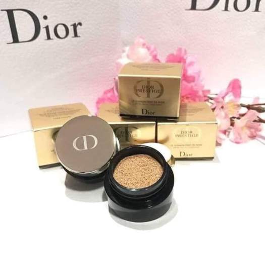 cushion dior mini 010