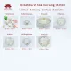 Bộ bát đĩa cao cấp Bát Tràng set 11, 16, 21 sản phẩm - Họa tiết hoa mai vàng. 