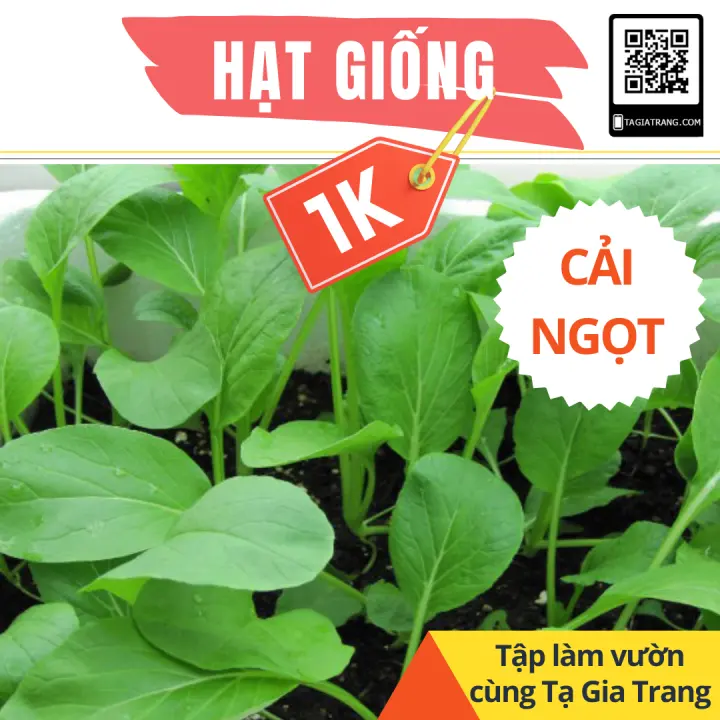 Farm Zone 72 Deal 1K – Gói 100 hạt giống rau cải ngọt cọng xanh – Dự án Tập làm vườn cùng Tạ Gia Trang