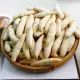 Bánh con sùng -  túi 500g - Bánh con đuông / con sâu. 