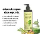 Dầu gội thảo mộc Bưởi Non Greenlab. 