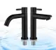 Vòi lavabo lạnh đen thấp inox MS2. 