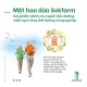 [Sokfarm] Mật Hoa Dừa Trà Vinh- Coconut Nectar [Xanh Suốt]. 