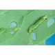 Thuốc trừ sâu sinh học Radiant phòng trừ các loại sâu, bọ trĩ trên rau củ quả. 