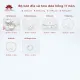 Bộ bát đĩa cao cấp Bát Tràng set 11, 16, 21 sản phẩm - Họa tiết hoa đào hồng. 