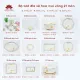Bộ bát đĩa vẽ hoa mai vàng cao cấp Bát Tràng. 