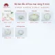 Bộ bát đĩa cao cấp Bát Tràng set 11, 16, 21 sản phẩm - Họa tiết hoa mai vàng. 