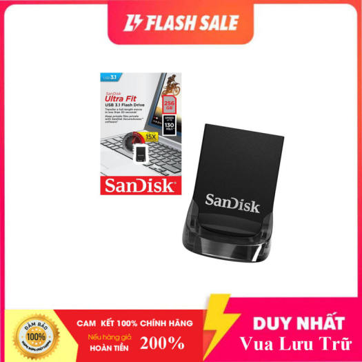 sandisk cz430