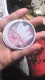 In sticker theo yêu cầu, in tem nhãn dán decal BomBonshop. 