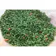 Cây giống ớt thóc (ớt xiêm rừng). 