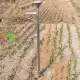 (Hàng mới)Ống gieo hạt đậu, lạc, ngô, gieo các loại hạt, dụng cụ gieo hạt cầm tay D32. 