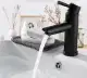 Vòi Lavabo nóng lạnh màu đen cao cấp - Inox 304- style 2. 