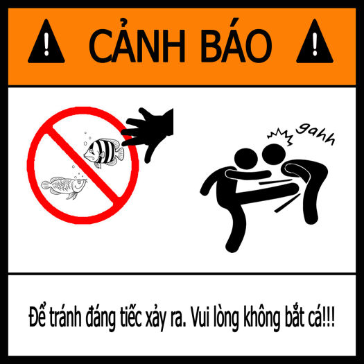 Tem cảnh báo hài hước dán hồ cá - Phụ kiện thủy sinh | Pétshop.vn