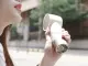 Quạt không cánh cầm tay Xiaomi. 