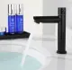 Vòi lavabo lạnh đen thấp inox MS1. 