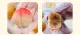 Bánh trung thu Hàn Quốc hình quả đẹp, nhập khẩu hàn quốc. 