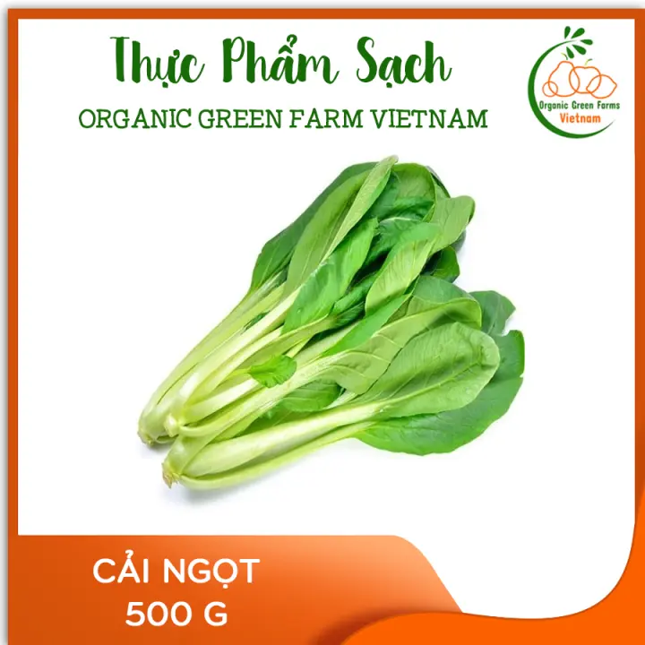 Cải ngọt (500g) - [Giao nhanh TPHCM]