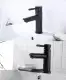 Vòi Lavabo nóng lạnh màu đen cao cấp - Inox 304- style 2. 