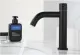 Vòi lavabo lạnh đen thấp inox MS2. 