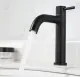 Vòi lavabo lạnh đen thấp inox MS2. 
