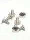 Ốc dù lớn xi . 6lyx 1.5cm x10 con... 