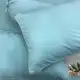 Ga bọc nệm 2 mặt có dây khóa kéo bằng thun trơn lạnh hàn quốc - ĐỦ SIZE. 
