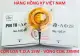 BỘ 10 CÁI CÔN LOA TOA 15W - KÍCH THƯỚC 28MM - COIL LOA NÉN TOA. 