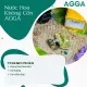 Nước Hoa Không Cồn AGGA Mùi Hoa Lavender 8ml - 30ml. 