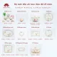 Bộ bát đĩa vẽ hoa đào đỏ cao cấp Bát Tràng. 