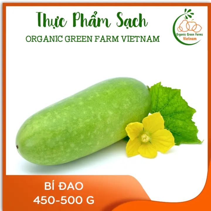 Bí đao nguyên trái (450g-550g) - [Giao nhanh TPHCM]