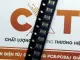 MF-NSMF110-2 Cầu chì tự phục hồi PPTC 1.1A 6V SMD1206(10c). 