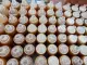 Mật ong hoa cà phê nguyên chất. 