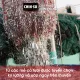 Nước Mắm CHIN-SU Cá Cơm Biển Đông Chai 720ml. 