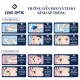 Kính áp tròng SEED 1 ngày - Màu Sweetie Make, lens SEED eye coffret 1 day UV- Lens Optic. 
