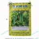 Hạt giống F1 Đu đủ Hoàng Phi gói tầm 20 hạt. 