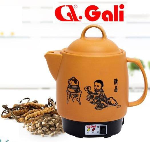 Ấm sắc thuốc Gali GL-1801 - Bình đun siêu tốc - FPT Shop