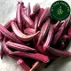 [GIAO HÀNG 2 GIỜ] Hạt giống đậu bắp đỏ đậu bắp tím gói 5gr. 