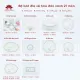 Bộ bát đĩa cao cấp Bát Tràng set 11, 16, 21 sản phẩm - Họa tiết hoa đào xanh. 