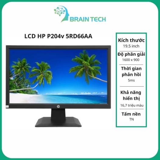 LCD HP P204v 5RD66AA 19.5 Inch 