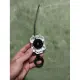 con quay và phóng quay beyblade hasbro. 