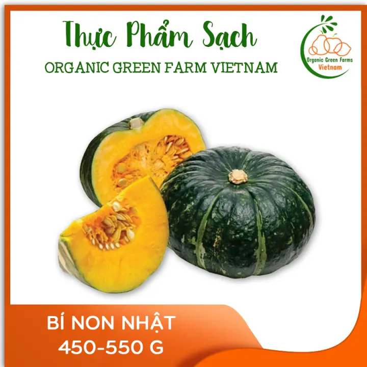 Bí non Nhật (450g-550g) - [Giao nhanh TPHCM]