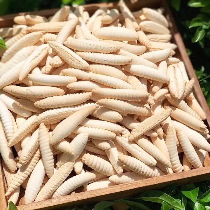 Bánh con sùng -  túi 500g - Bánh con đuông / con sâu