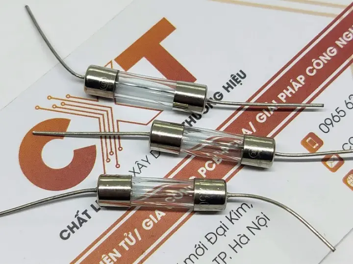 Cầu chì thủy tinh 10A 250V 5x20mm hàn chân ( 5c)